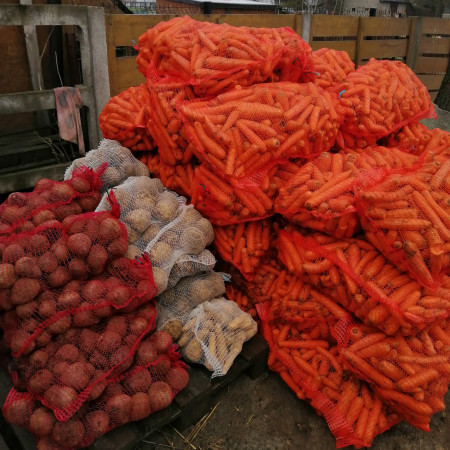 Już 10 ton warzyw