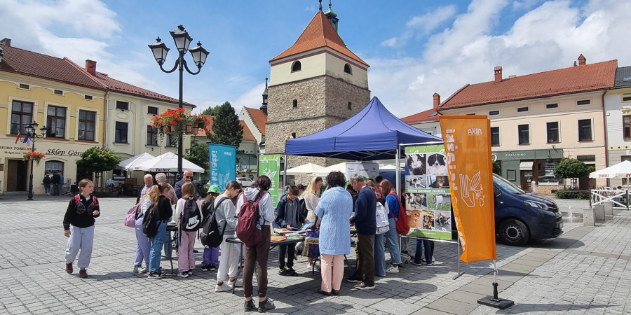 Drugie życie książek w Żywcu